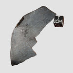  Dhofar 273 Meteorite | 25.4 Grams | Slice | L5 Chondrite | Sahara 