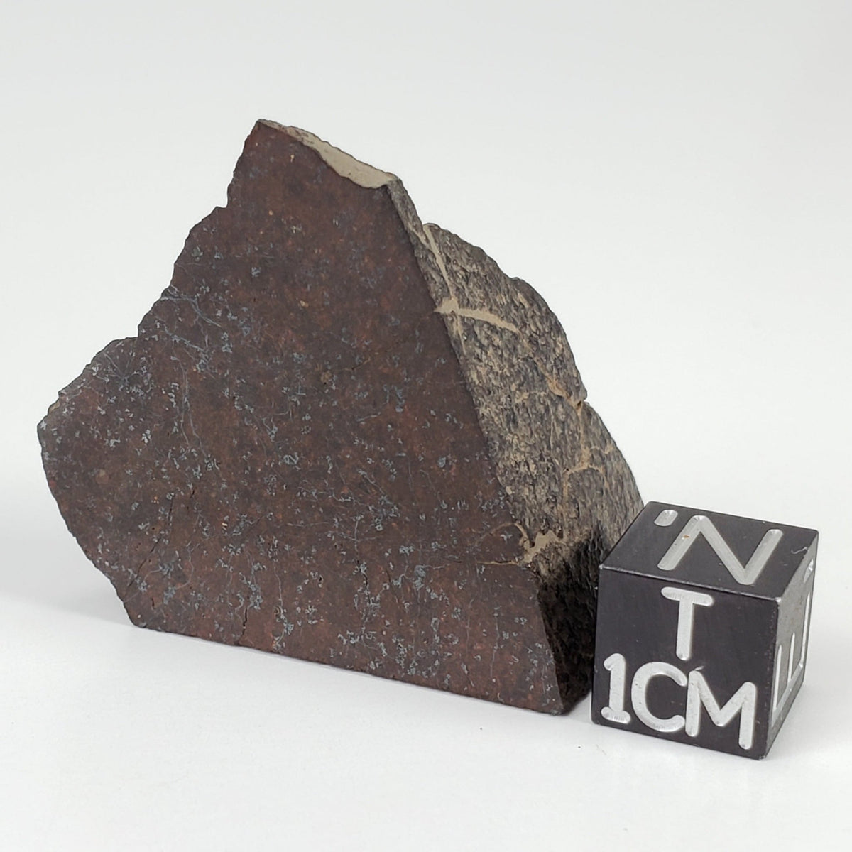  Dhofar 321 Meteorite | 25.6 Grams | Crusted Part End Cut | H4 Chondrite | Sahara 