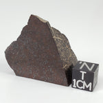  Dhofar 321 Meteorite | 25.6 Grams | Crusted Part End Cut | H4 Chondrite | Sahara 