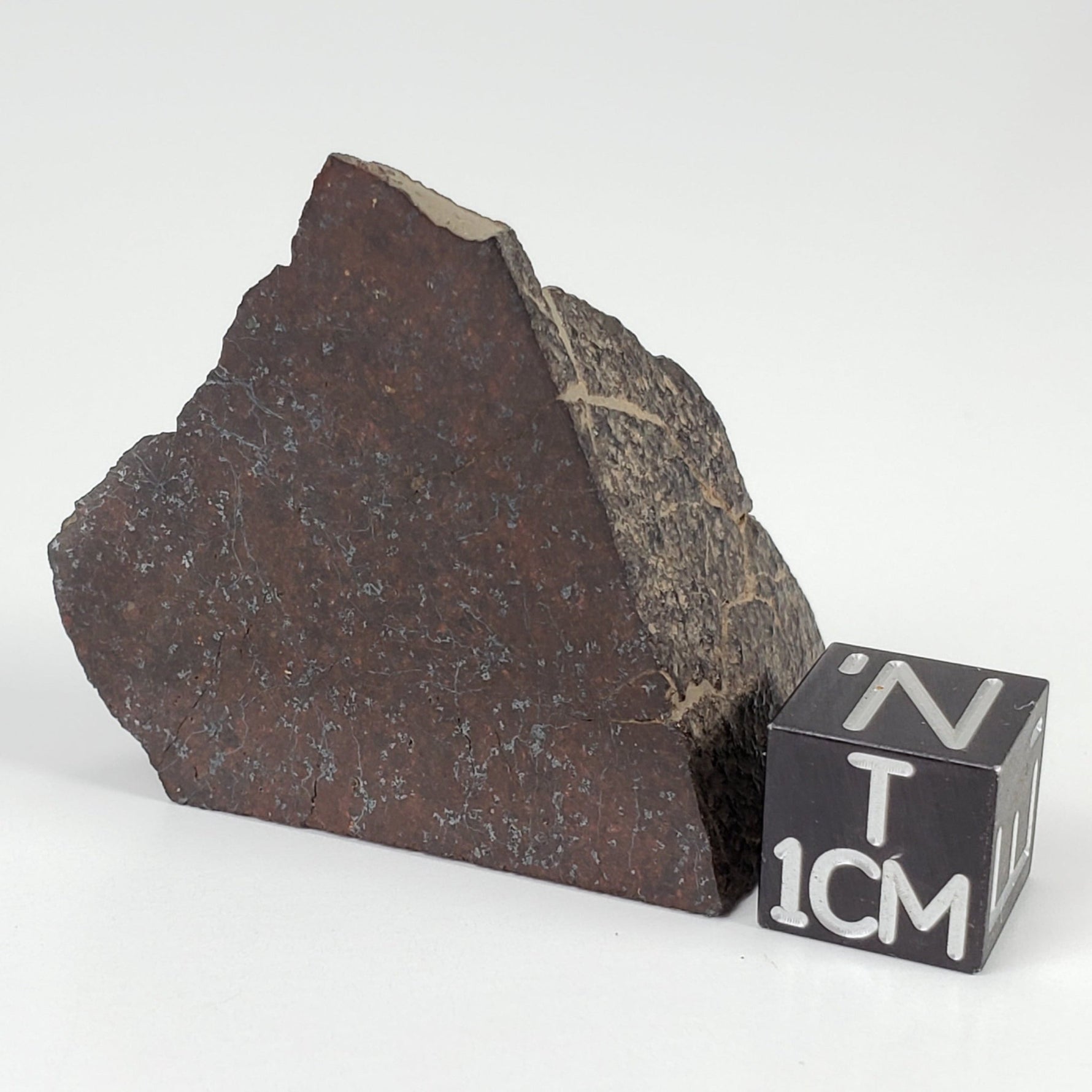  Dhofar 321 Meteorite | 25.6 Grams | Crusted Part End Cut | H4 Chondrite | Sahara 