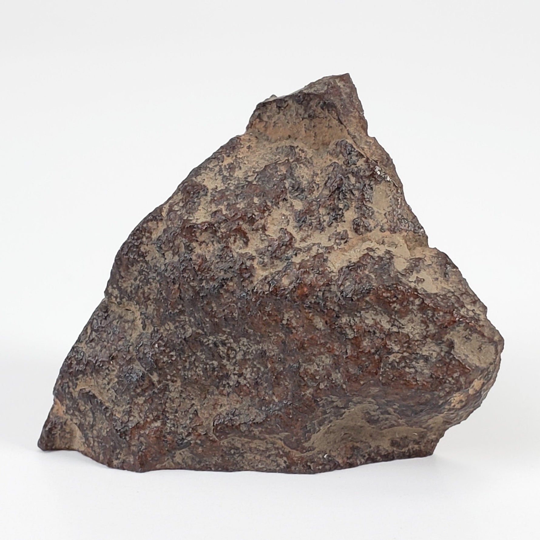  Dhofar 321 Meteorite | 25.6 Grams | Crusted Part End Cut | H4 Chondrite | Sahara 1