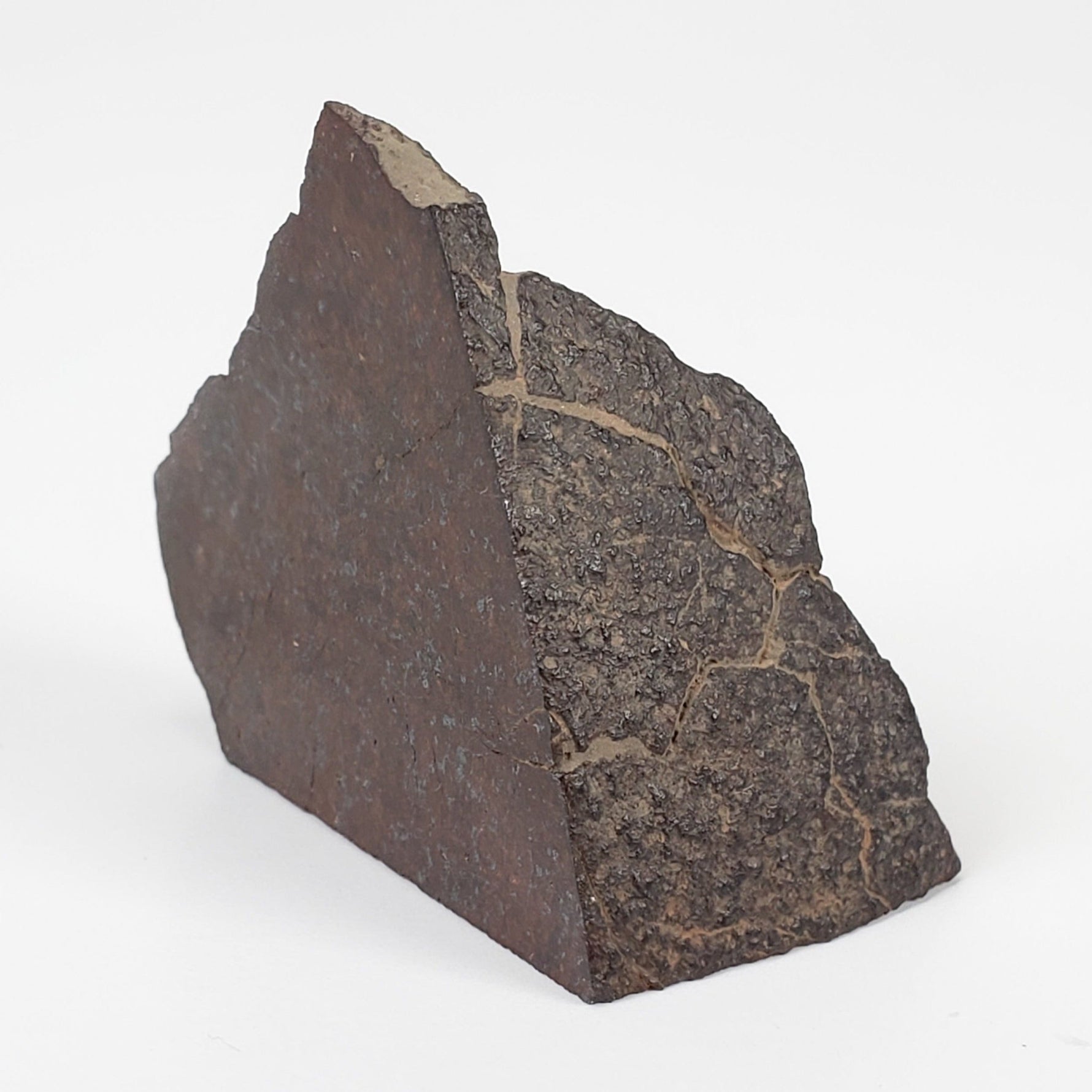  Dhofar 321 Meteorite | 25.6 Grams | Crusted Part End Cut | H4 Chondrite | Sahara 2