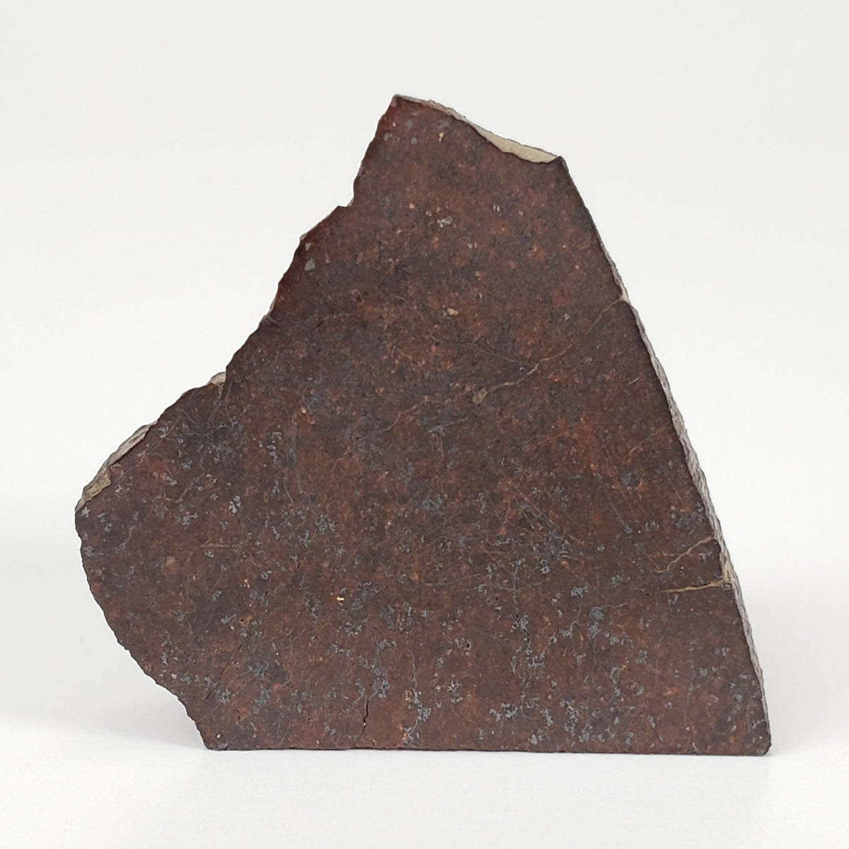  Dhofar 321 Meteorite | 25.6 Grams | Crusted Part End Cut | H4 Chondrite | Sahara 3