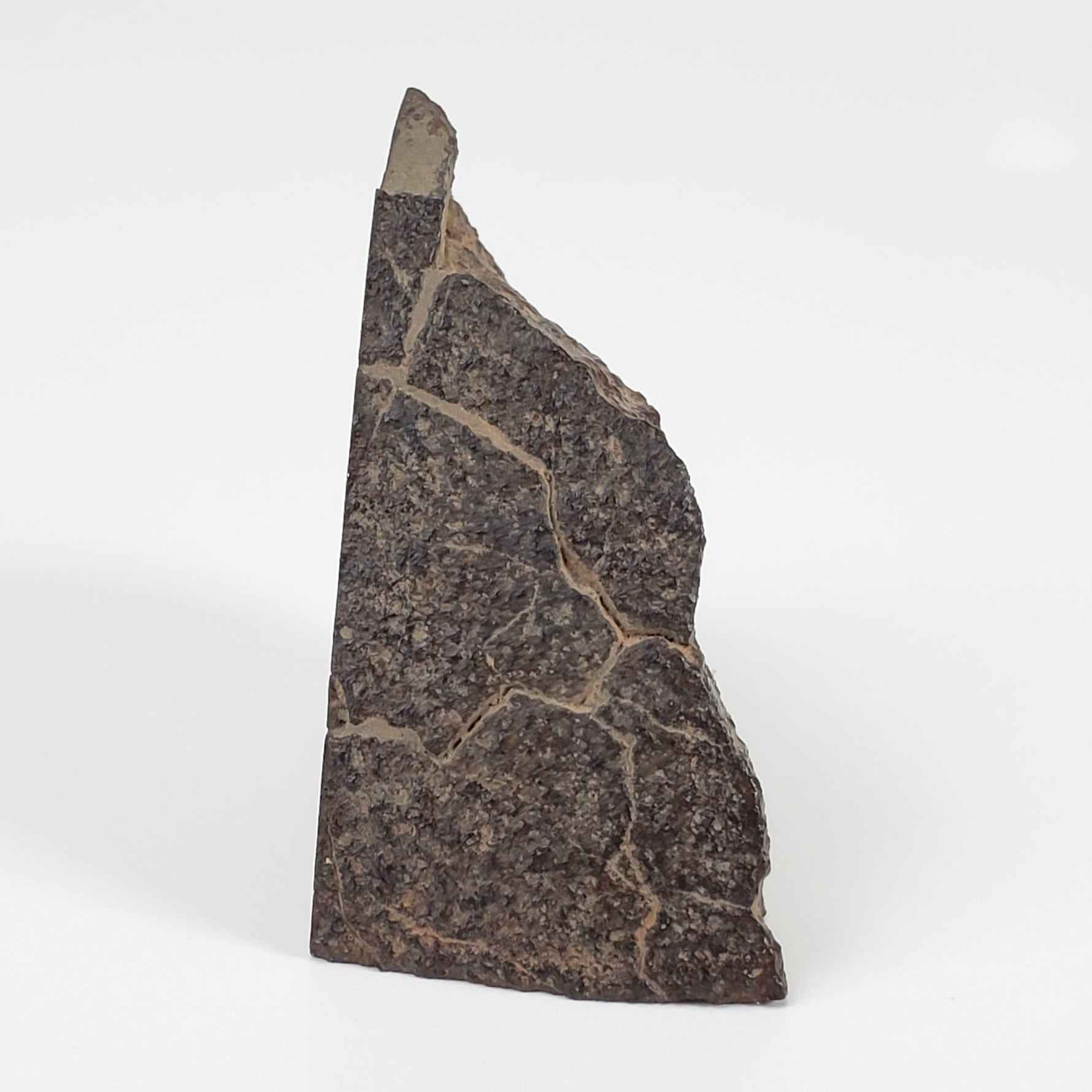  Dhofar 321 Meteorite | 25.6 Grams | Crusted Part End Cut | H4 Chondrite | Sahara 4