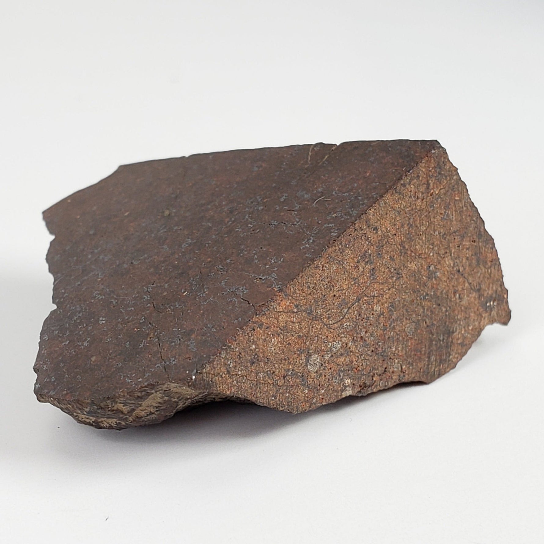  Dhofar 321 Meteorite | 25.6 Grams | Crusted Part End Cut | H4 Chondrite | Sahara 5