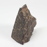  Dhofar 321 Meteorite | 25.6 Grams | Crusted Part End Cut | H4 Chondrite | Sahara 6