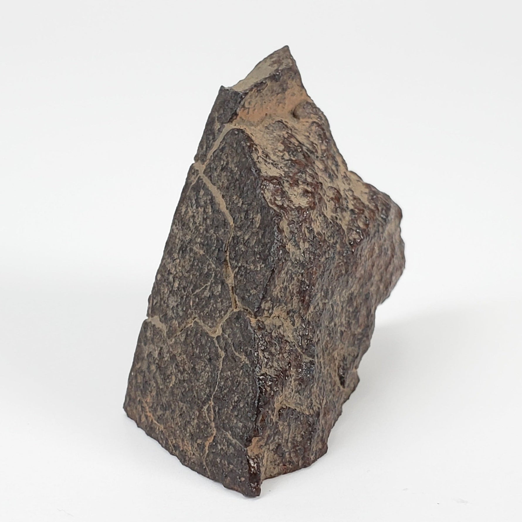 Dhofar 321 Meteorite | 25.6 Grams | Crusted Part End Cut | H4 Chondrite | Sahara 6