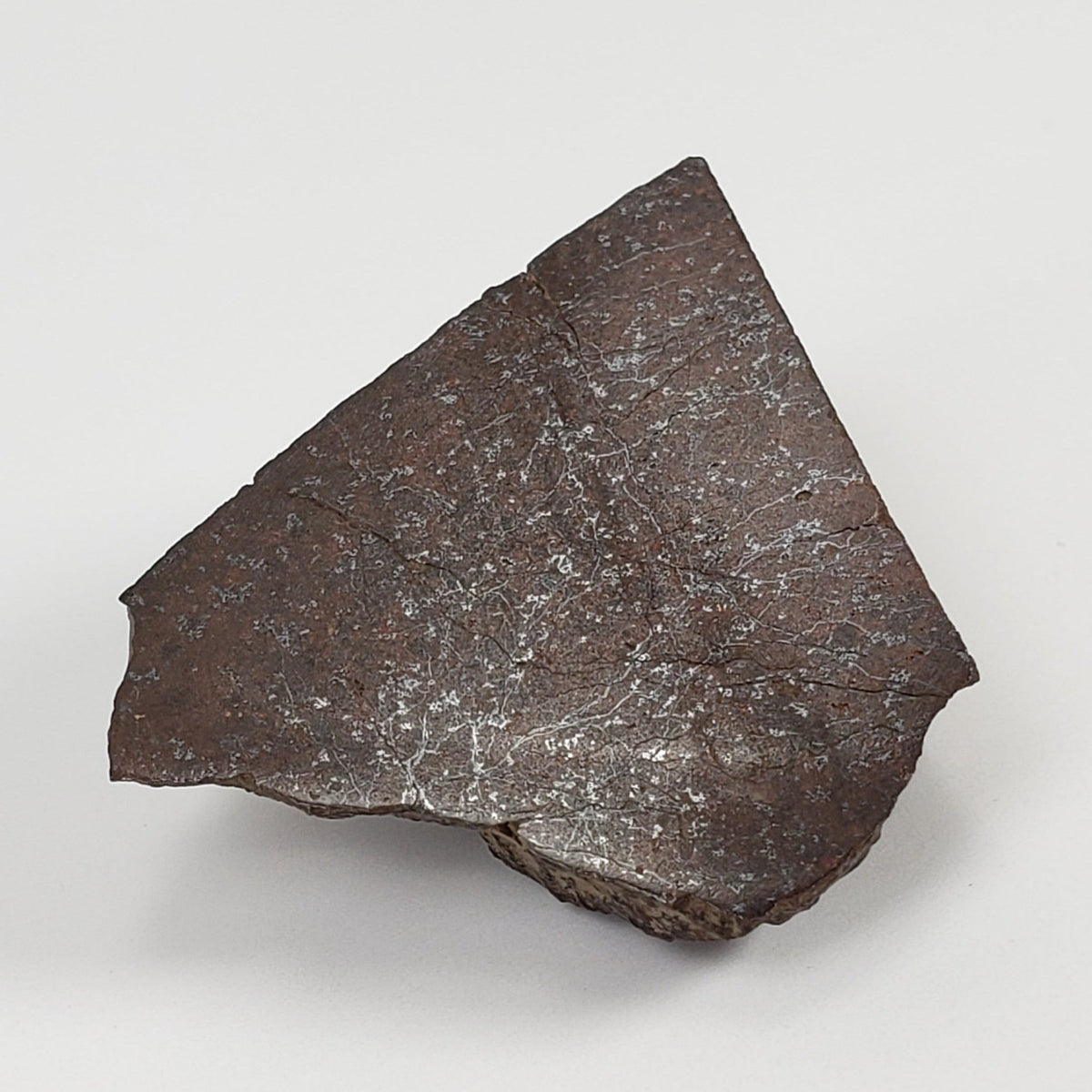  Dhofar 321 Meteorite | 25.6 Grams | Crusted Part End Cut | H4 Chondrite | Sahara 7