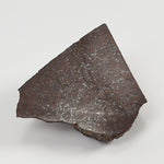  Dhofar 321 Meteorite | 25.6 Grams | Crusted Part End Cut | H4 Chondrite | Sahara 7