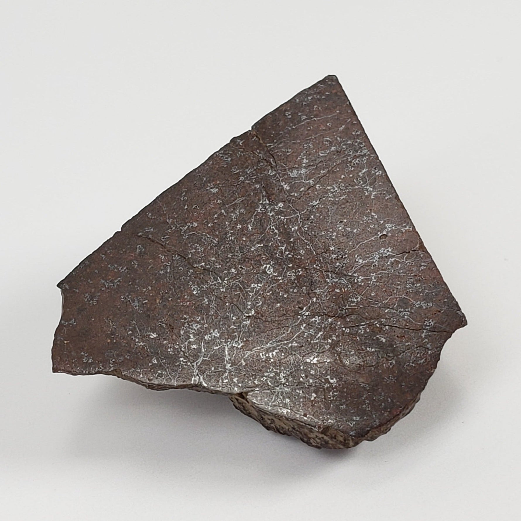  Dhofar 321 Meteorite | 25.6 Grams | Crusted Part End Cut | H4 Chondrite | Sahara 7