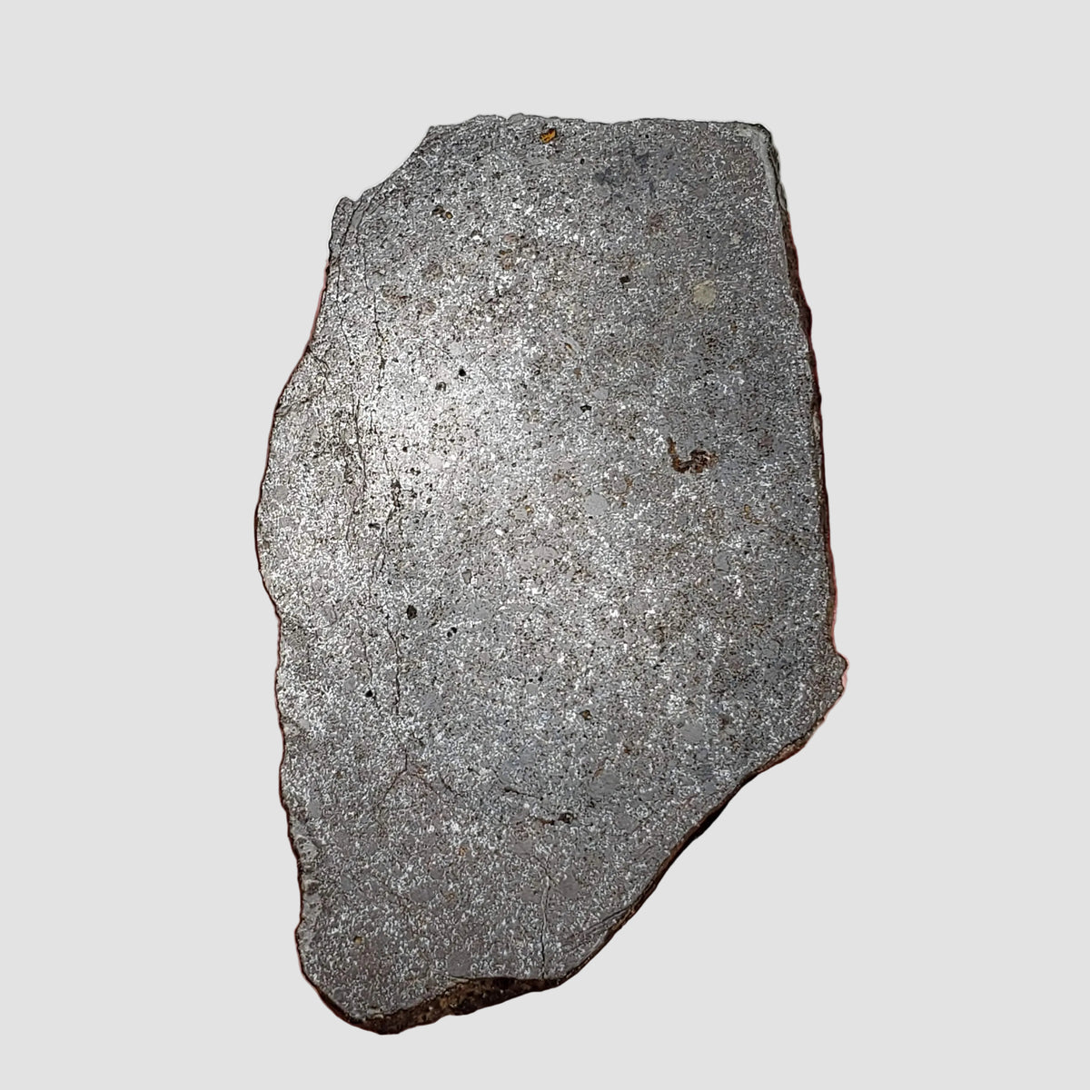  Dhofar 323 Meteorite | 36.38 Gr | Full Slice | H5 Chondrite | Sahara | Low TKW 1