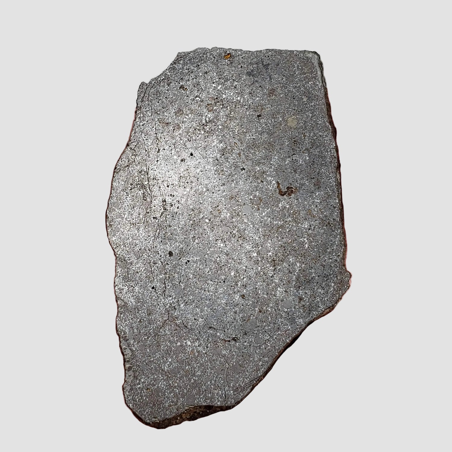  Dhofar 323 Meteorite | 36.38 Gr | Full Slice | H5 Chondrite | Sahara | Low TKW 1