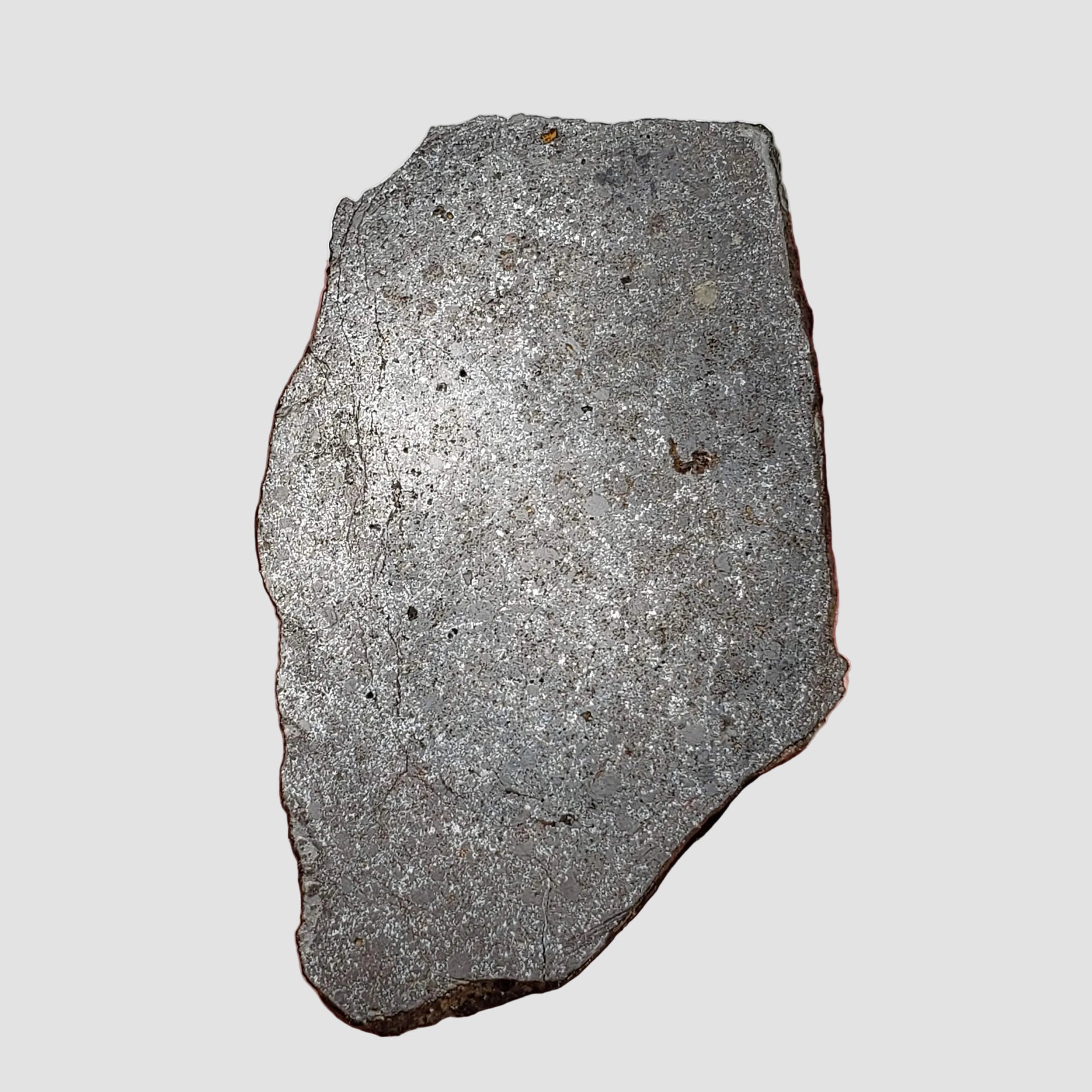  Dhofar 323 Meteorite | 36.38 Gr | Full Slice | H5 Chondrite | Sahara | Low TKW 1