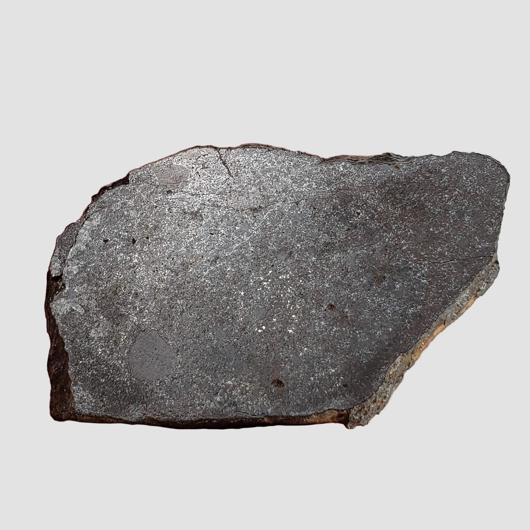  Dhofar 323 Meteorite | 36.38 Gr | Full Slice | H5 Chondrite | Sahara | Low TKW 4