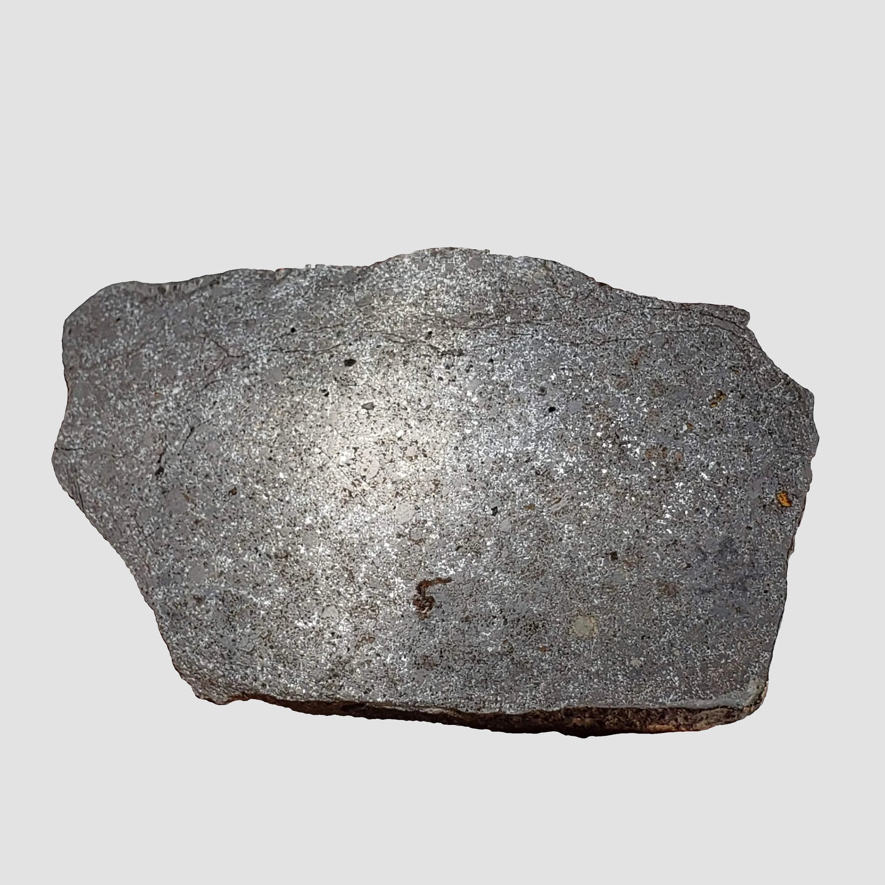  Dhofar 323 Meteorite | 36.38 Gr | Full Slice | H5 Chondrite | Sahara | Low TKW 5