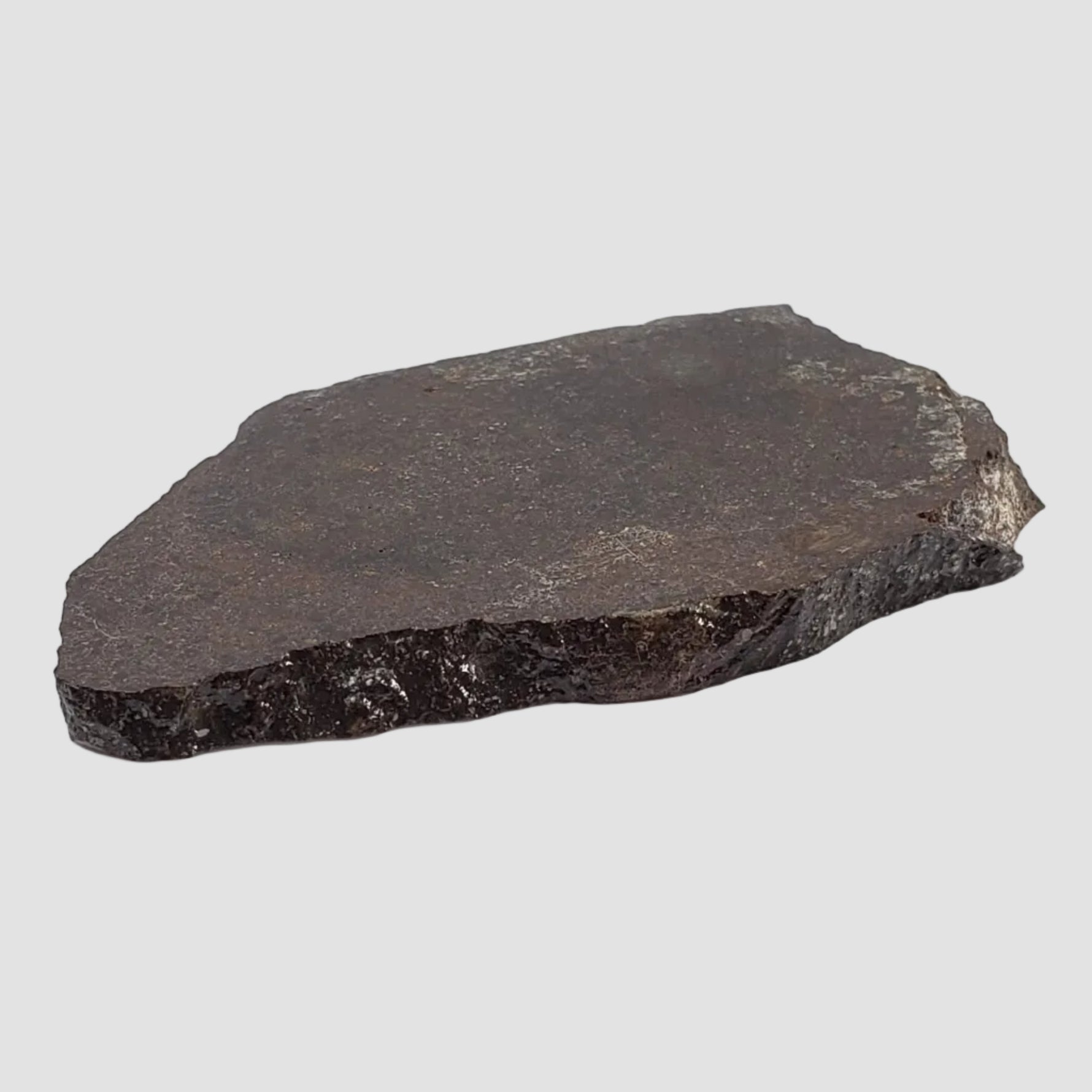  Dhofar 323 Meteorite | 36.38 Gr | Full Slice | H5 Chondrite | Sahara | Low TKW 6