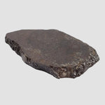  Dhofar 323 Meteorite | 36.38 Gr | Full Slice | H5 Chondrite | Sahara | Low TKW 7