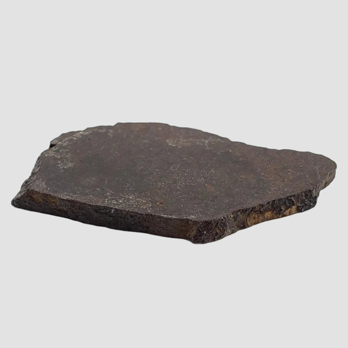  Dhofar 323 Meteorite | 36.38 Gr | Full Slice | H5 Chondrite | Sahara | Low TKW 8