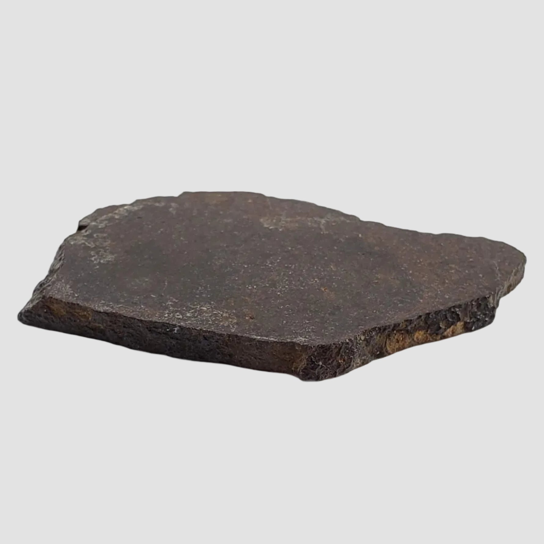  Dhofar 323 Meteorite | 36.38 Gr | Full Slice | H5 Chondrite | Sahara | Low TKW 8