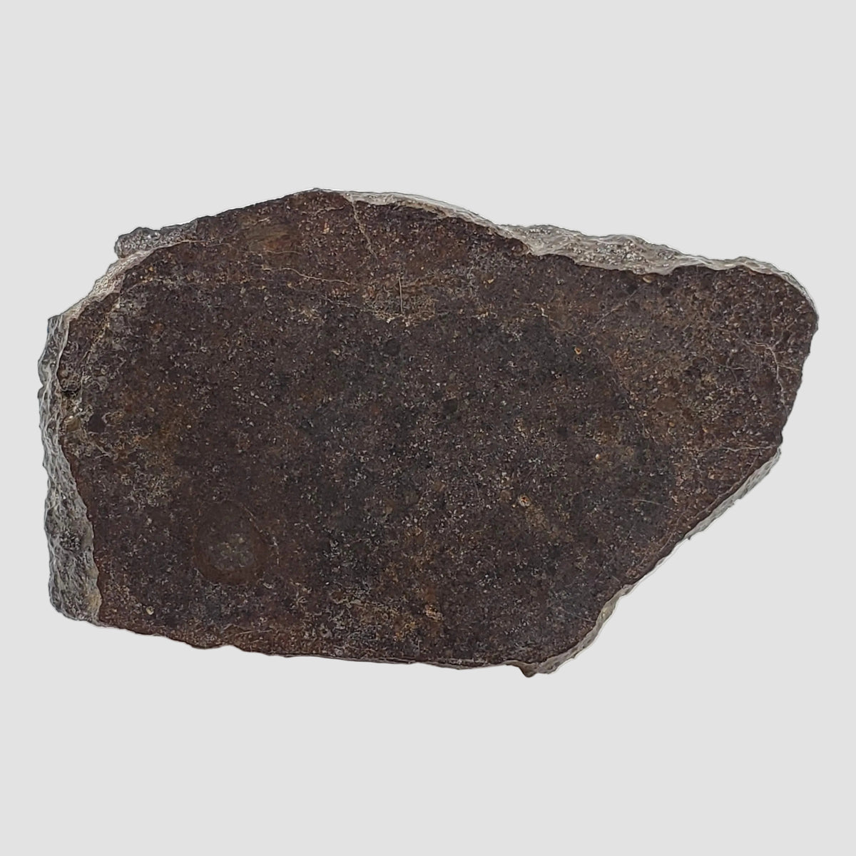  Dhofar 323 Meteorite | 36.38 Gr | Full Slice | H5 Chondrite | Sahara | Low TKW 2