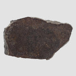  Dhofar 323 Meteorite | 36.38 Gr | Full Slice | H5 Chondrite | Sahara | Low TKW 2