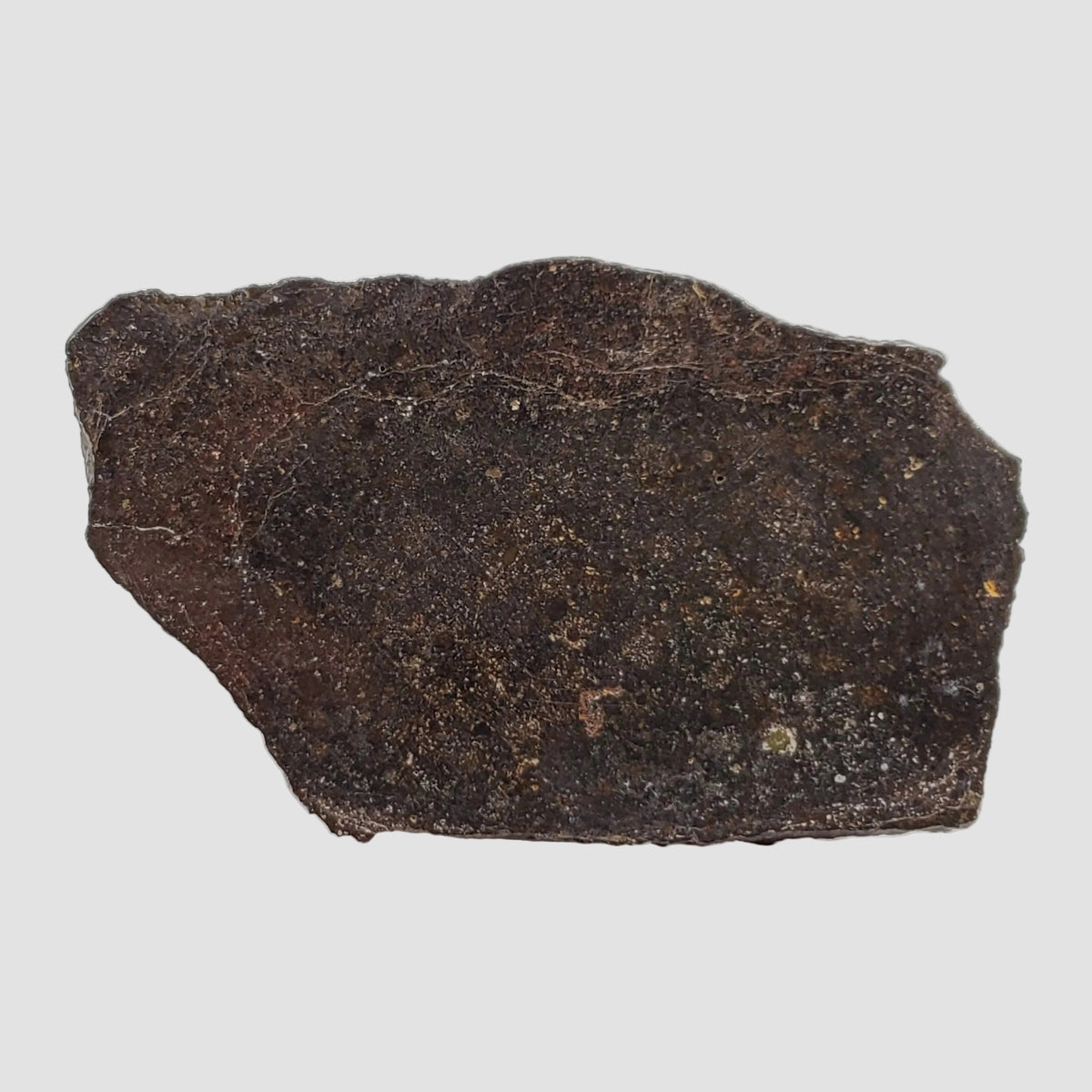  Dhofar 323 Meteorite | 36.38 Gr | Full Slice | H5 Chondrite | Sahara | Low TKW 3