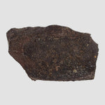  Dhofar 323 Meteorite | 36.38 Gr | Full Slice | H5 Chondrite | Sahara | Low TKW 3