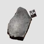  Dhofar 323 Meteorite | 36.38 Gr | Full Slice | H5 Chondrite | Sahara | Low TKW 