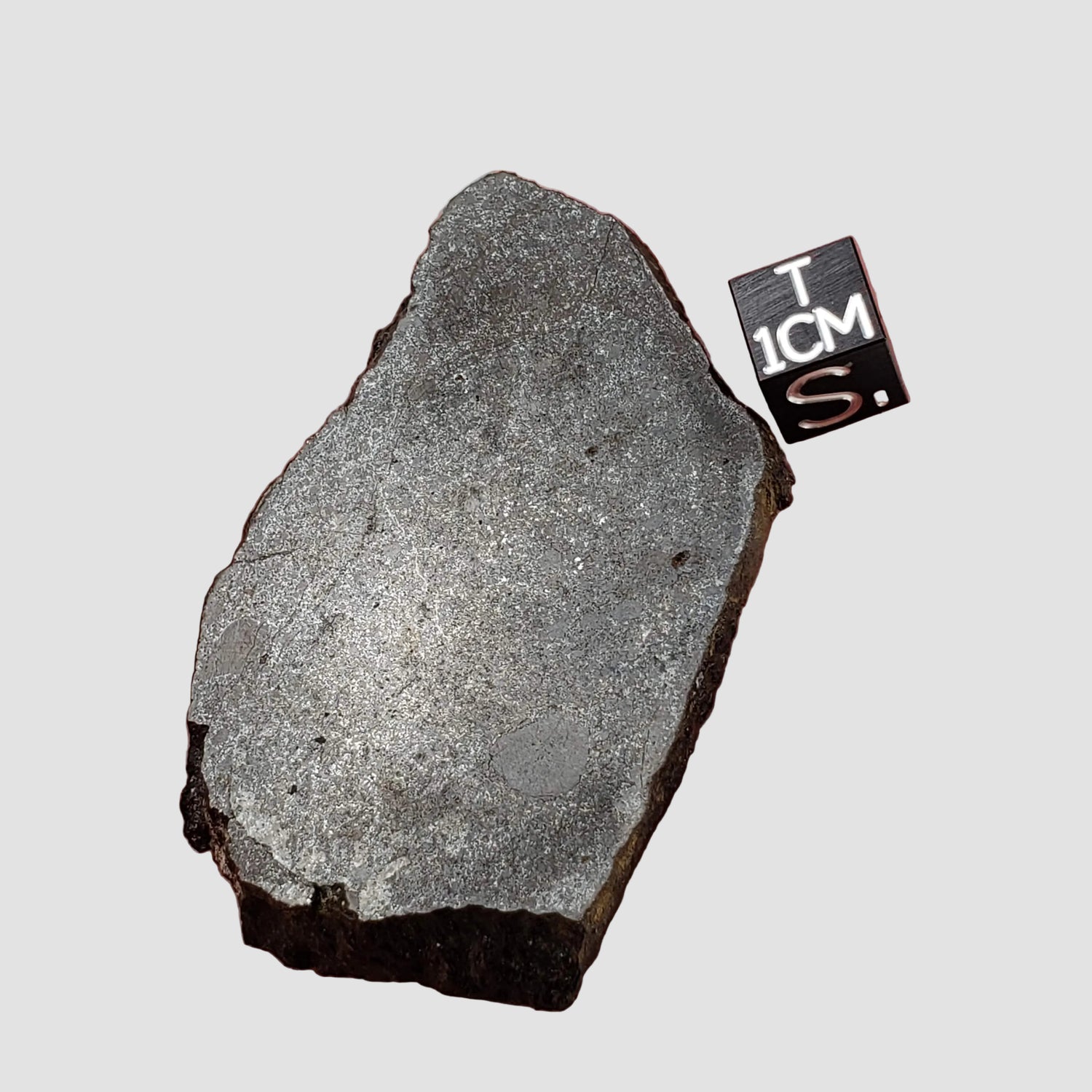  Dhofar 323 Meteorite | 36.38 Gr | Full Slice | H5 Chondrite | Sahara | Low TKW 