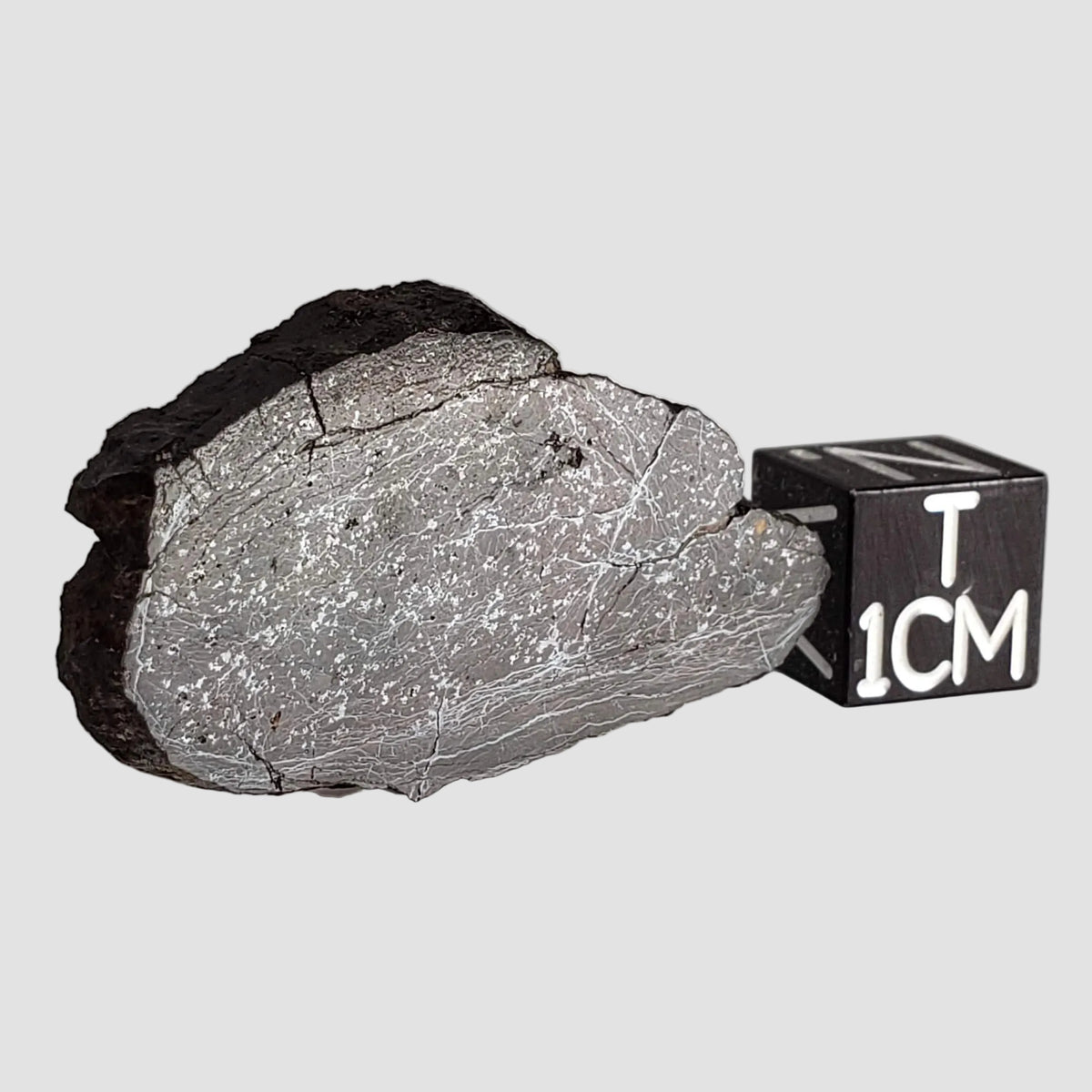  Dhofar 492 Meteorite | 7.15 Grams | Partial Slice | Rare H Chondrite | Oman 