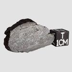  Dhofar 492 Meteorite | 7.15 Grams | Partial Slice | Rare H Chondrite | Oman 