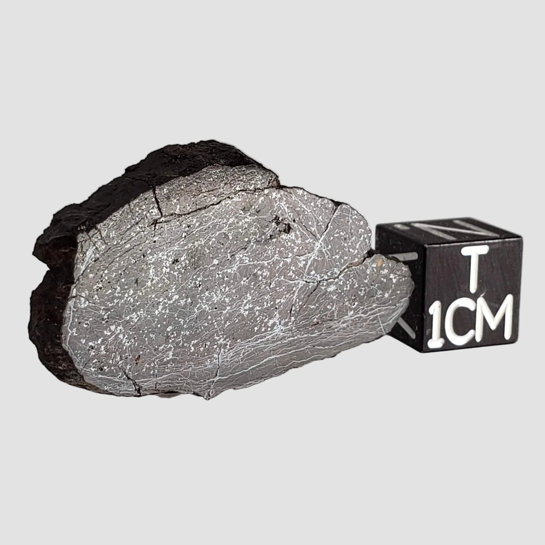  Dhofar 492 Meteorite | 7.15 Grams | Partial Slice | Rare H Chondrite | Oman 