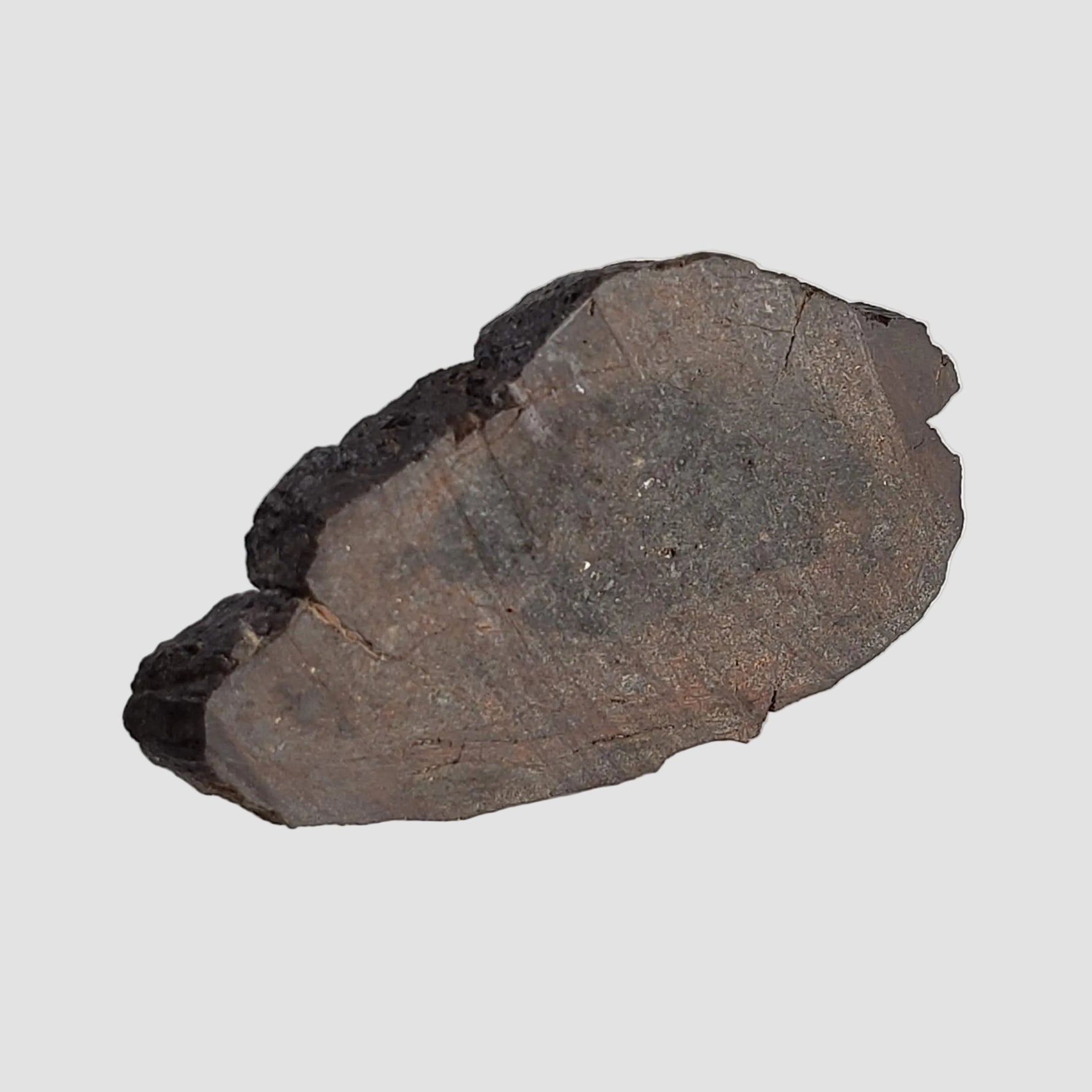  Dhofar 492 Meteorite | 7.15 Grams | Partial Slice | Rare H Chondrite | Oman 1