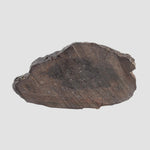  Dhofar 492 Meteorite | 7.15 Grams | Partial Slice | Rare H Chondrite | Oman 3