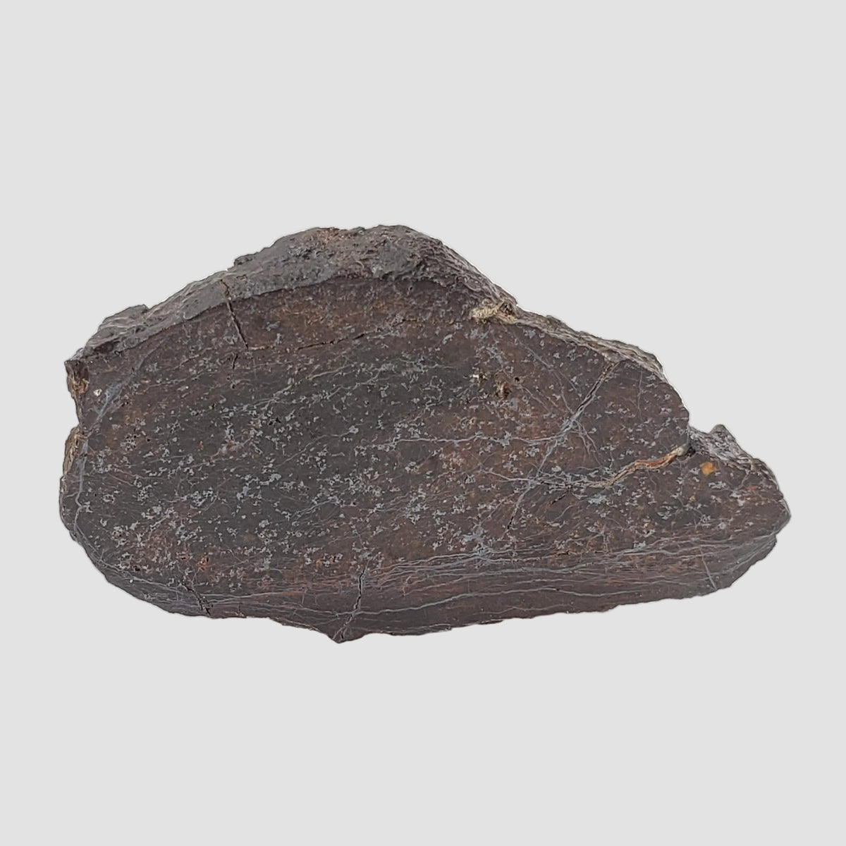  Dhofar 492 Meteorite | 7.15 Grams | Partial Slice | Rare H Chondrite | Oman 2