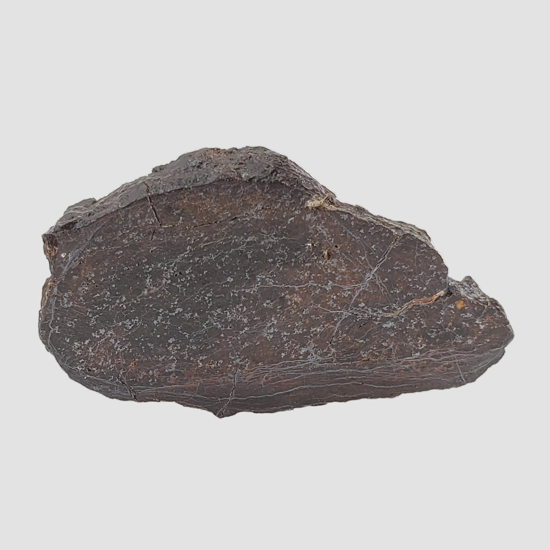  Dhofar 492 Meteorite | 7.15 Grams | Partial Slice | Rare H Chondrite | Oman 2