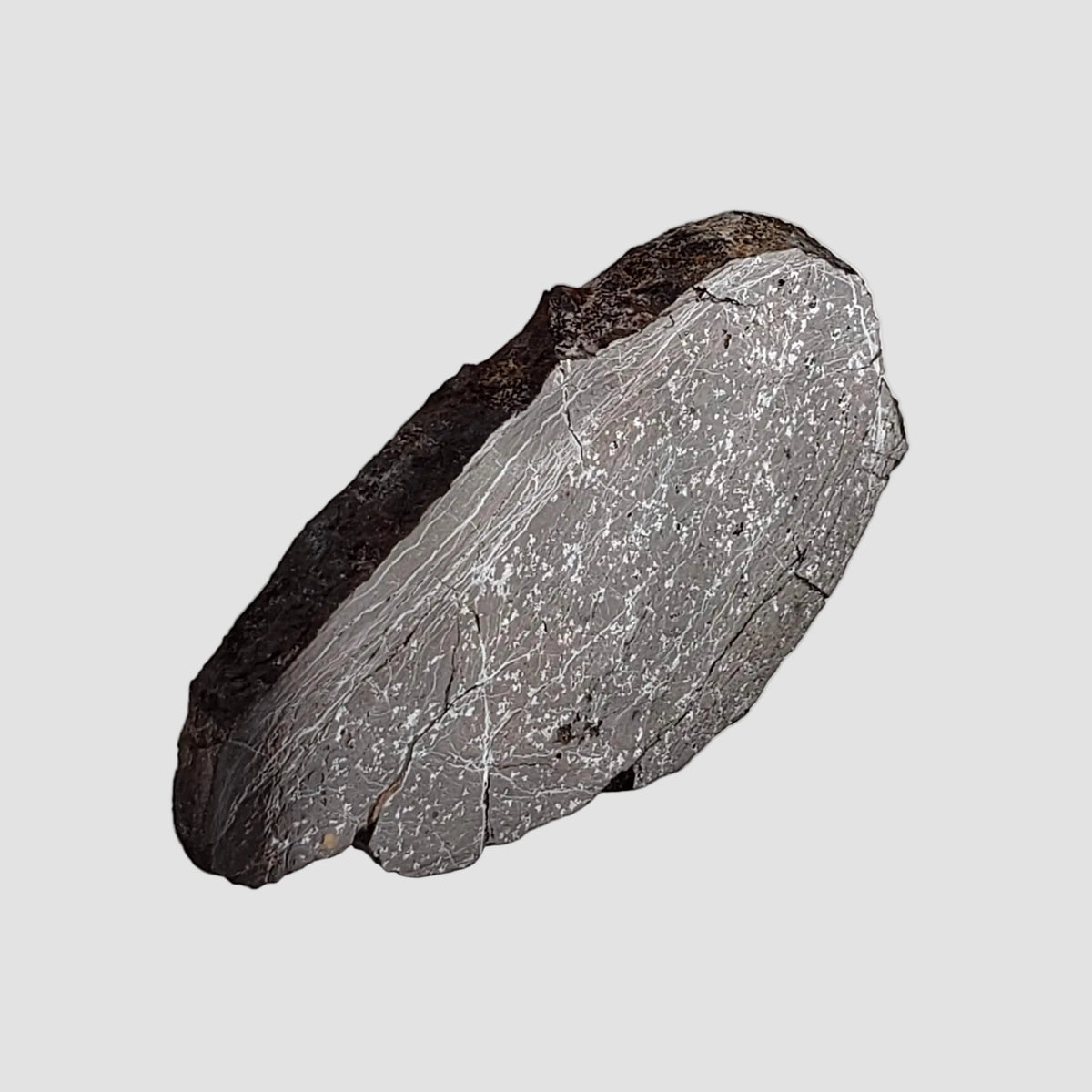  Dhofar 492 Meteorite | 7.15 Grams | Partial Slice | Rare H Chondrite | Oman 5
