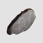  Dhofar 492 Meteorite | 7.15 Grams | Partial Slice | Rare H Chondrite | Oman 5