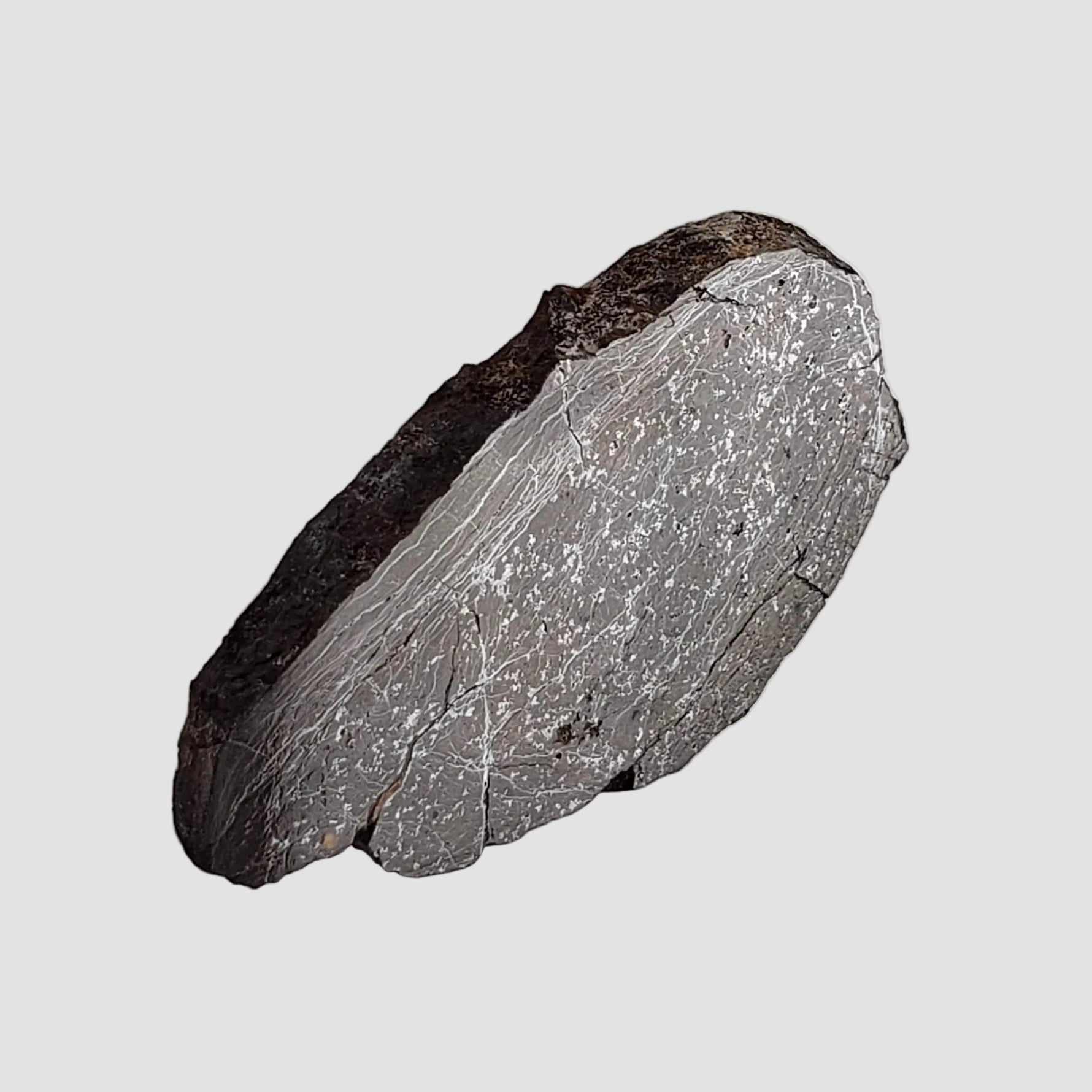  Dhofar 492 Meteorite | 7.15 Grams | Partial Slice | Rare H Chondrite | Oman 5