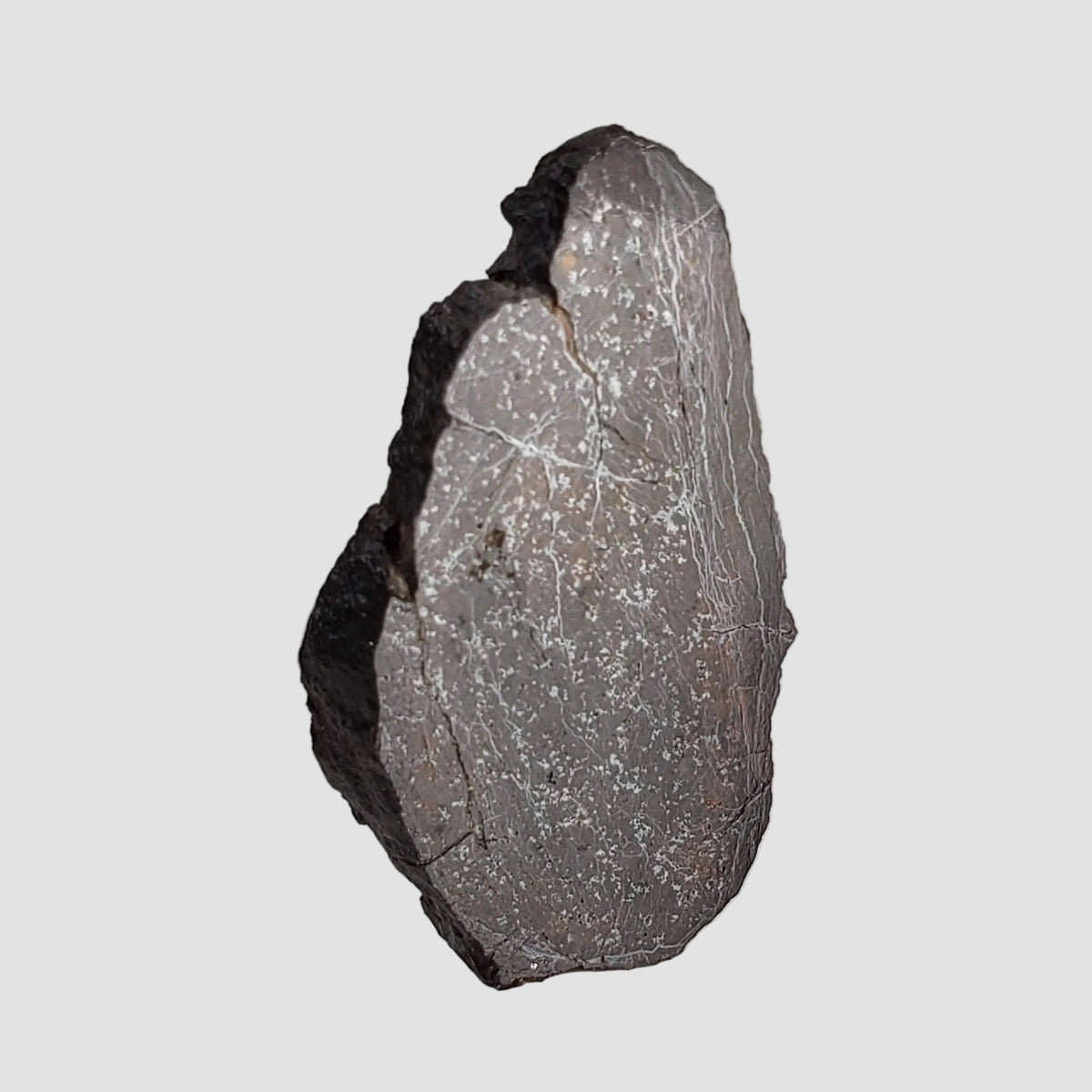  Dhofar 492 Meteorite | 7.15 Grams | Partial Slice | Rare H Chondrite | Oman 6
