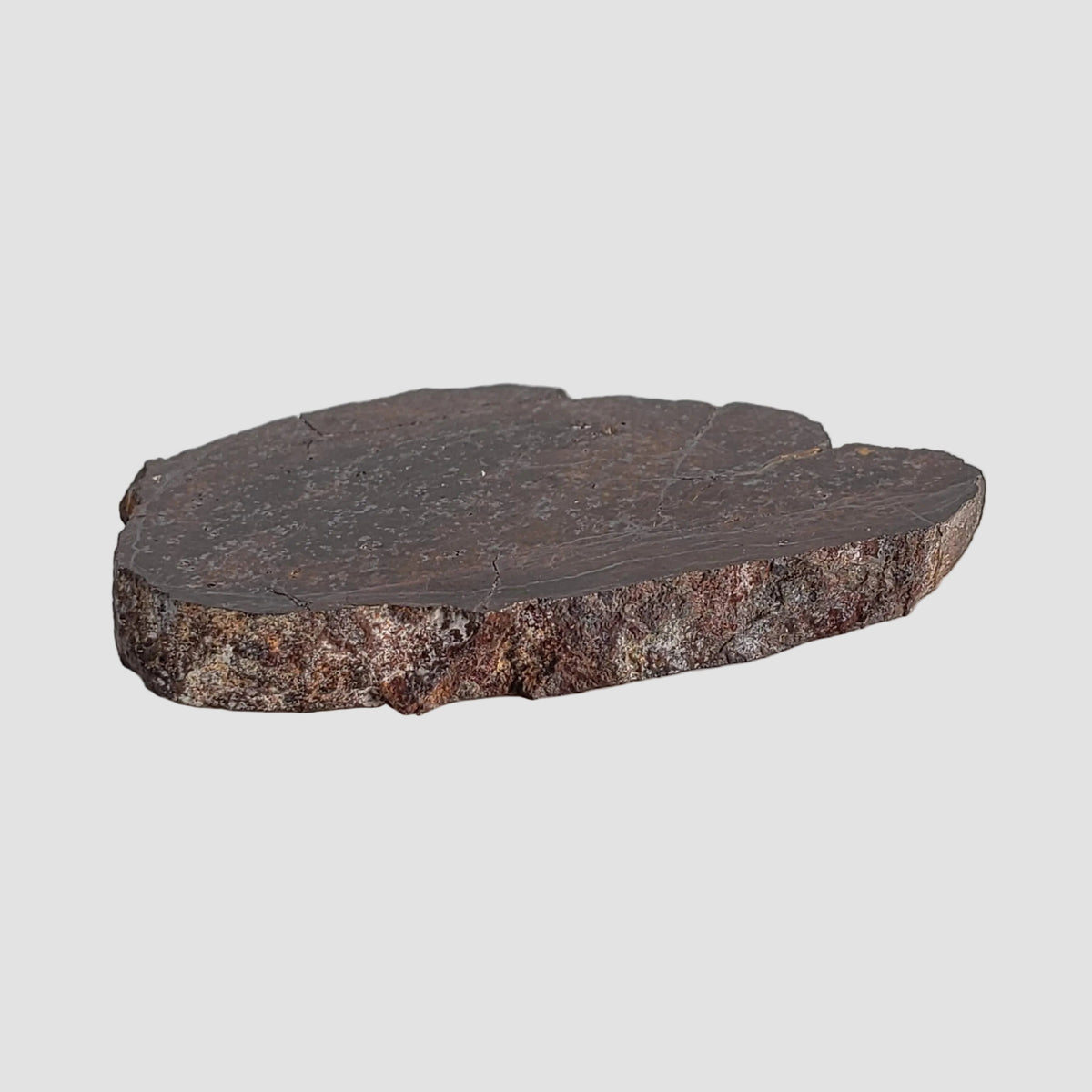  Dhofar 492 Meteorite | 7.15 Grams | Partial Slice | Rare H Chondrite | Oman 7