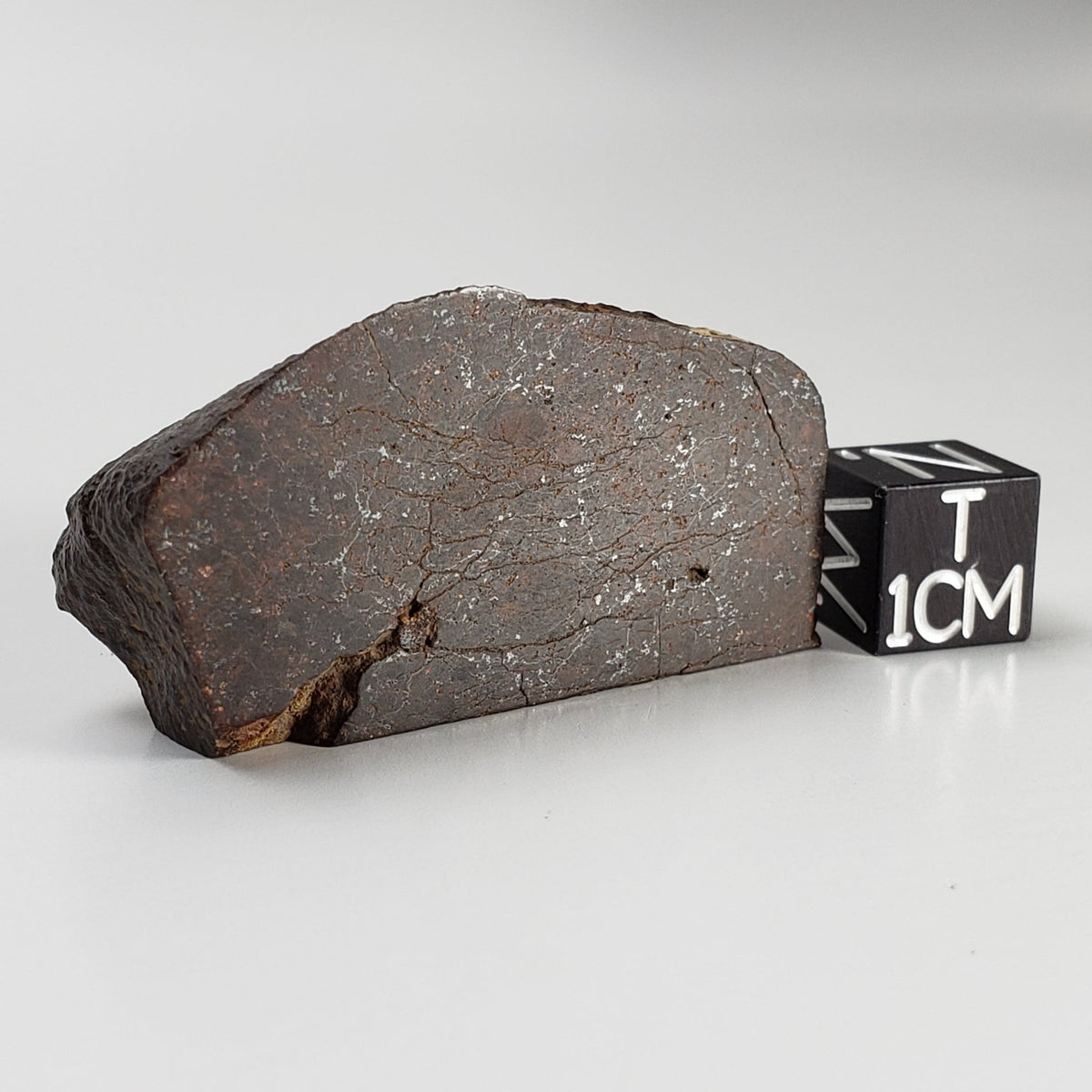  Dhofar 947 Meteorite | 38.40 Gr | Quarter Stone | L5-6 Chondrite | Rare Low TKW 