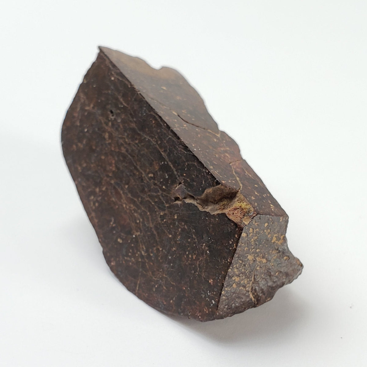  Dhofar 947 Meteorite | 38.40 Gr | Quarter Stone | L5-6 Chondrite | Rare Low TKW 8