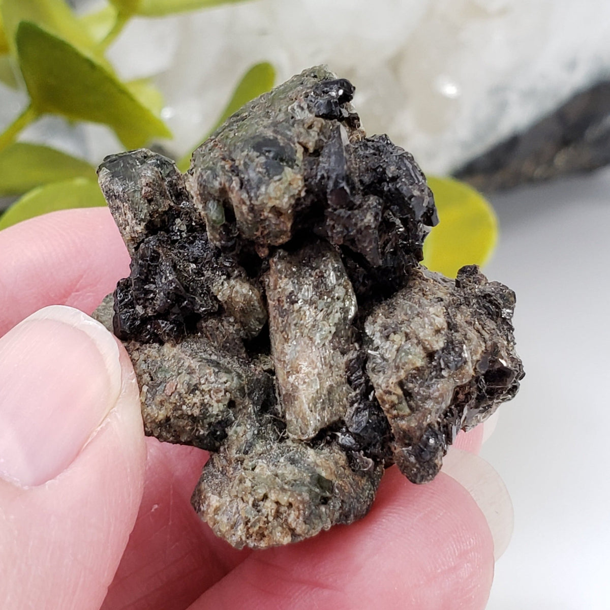  Diopside Crystal Cluster | 31 grams | Biotite Mica Micro | Otter Lake, QC, Canada 2