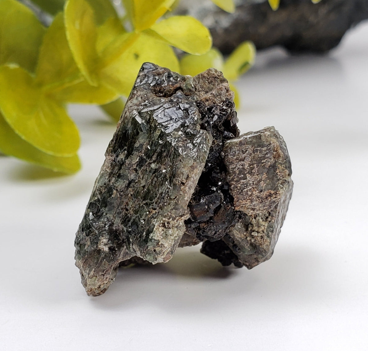  Diopside Crystal Cluster | 31 grams | Biotite Mica Micro | Otter Lake, QC, Canada 3