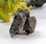  Diopside Crystal Cluster | 31 grams | Biotite Mica Micro | Otter Lake, QC, Canada 3