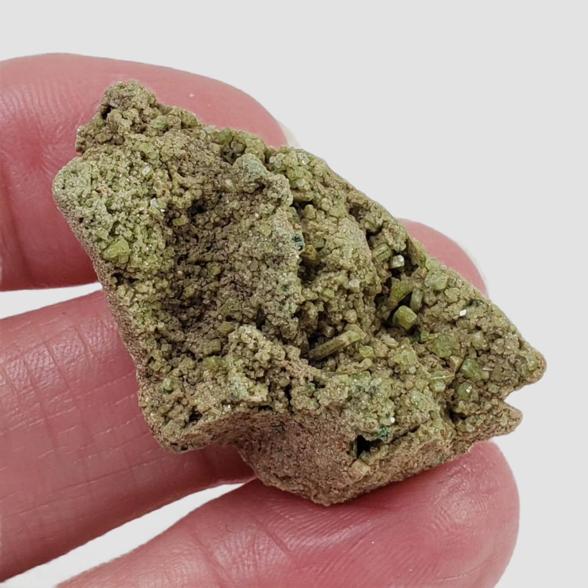  Diopside with Grossular Crystal | 13.66 grams | Spectacular Mineral | Orford Nickel Mine, Quebec, Canada 