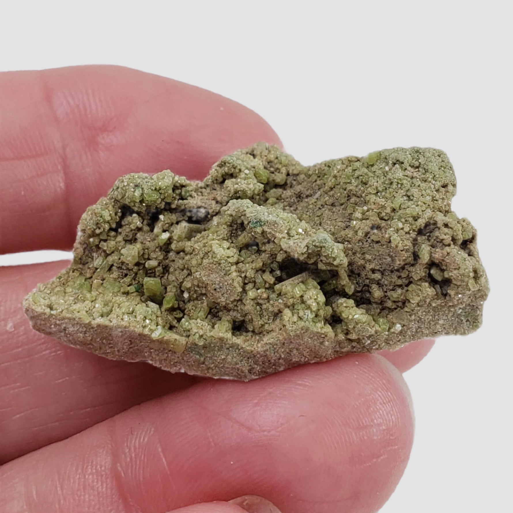  Diopside with Grossular Crystal | 13.66 grams | Spectacular Mineral | Orford Nickel Mine, Quebec, Canada 1