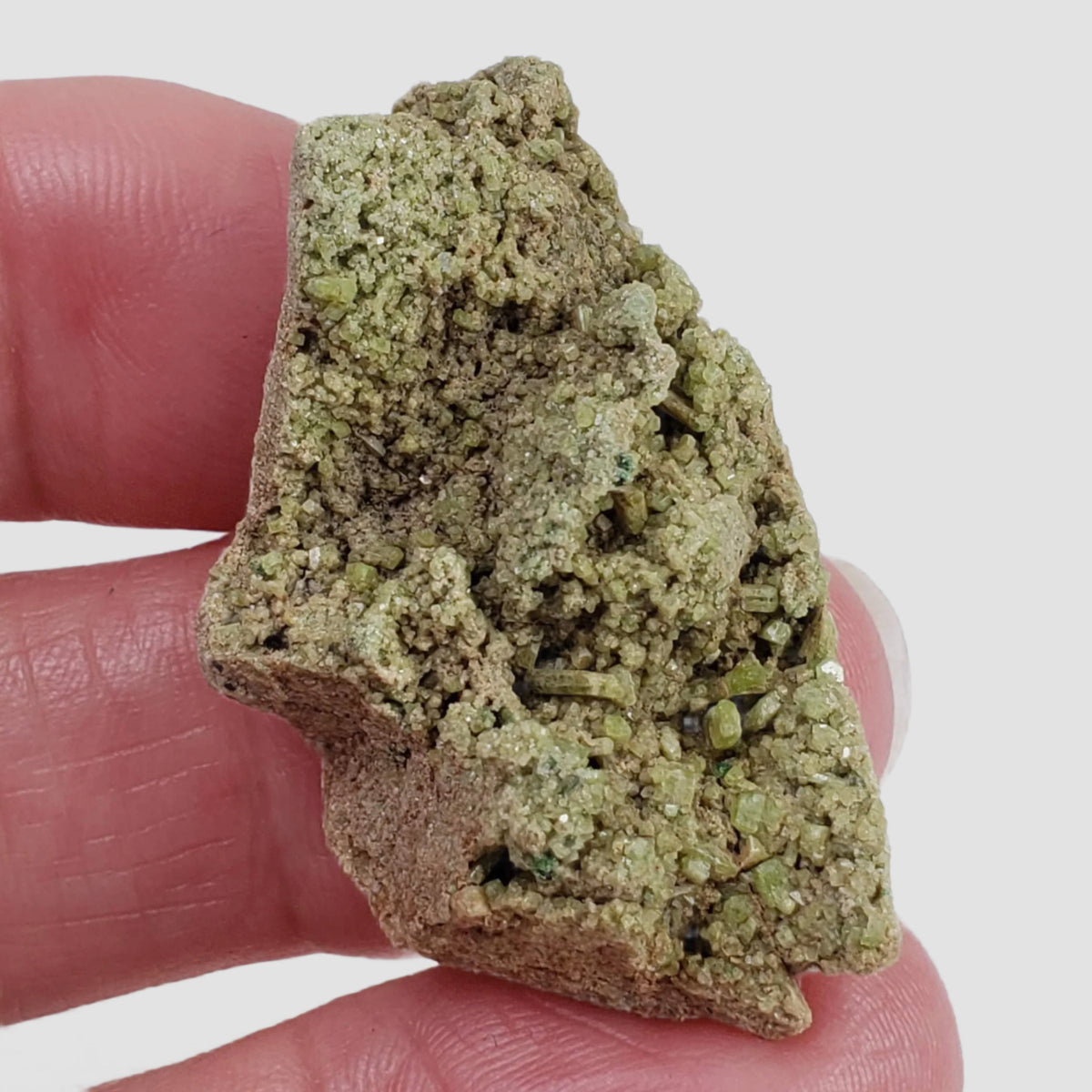  Diopside with Grossular Crystal | 13.66 grams | Spectacular Mineral | Orford Nickel Mine, Quebec, Canada 3