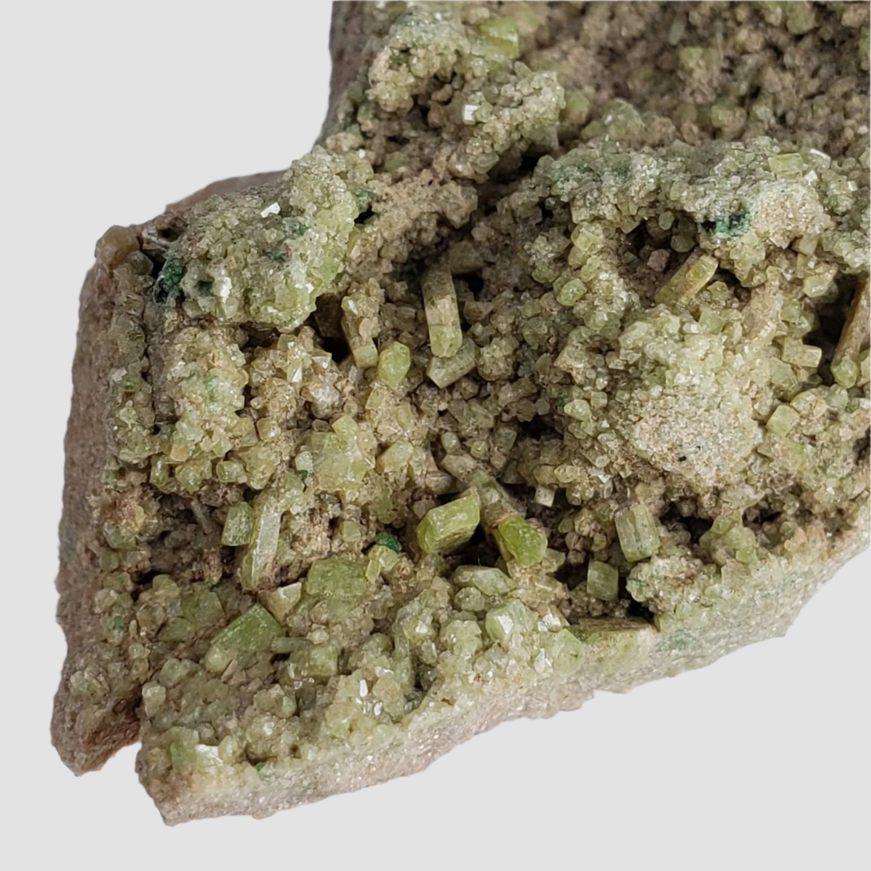  Diopside with Grossular Crystal | 13.66 grams | Spectacular Mineral | Orford Nickel Mine, Quebec, Canada 2